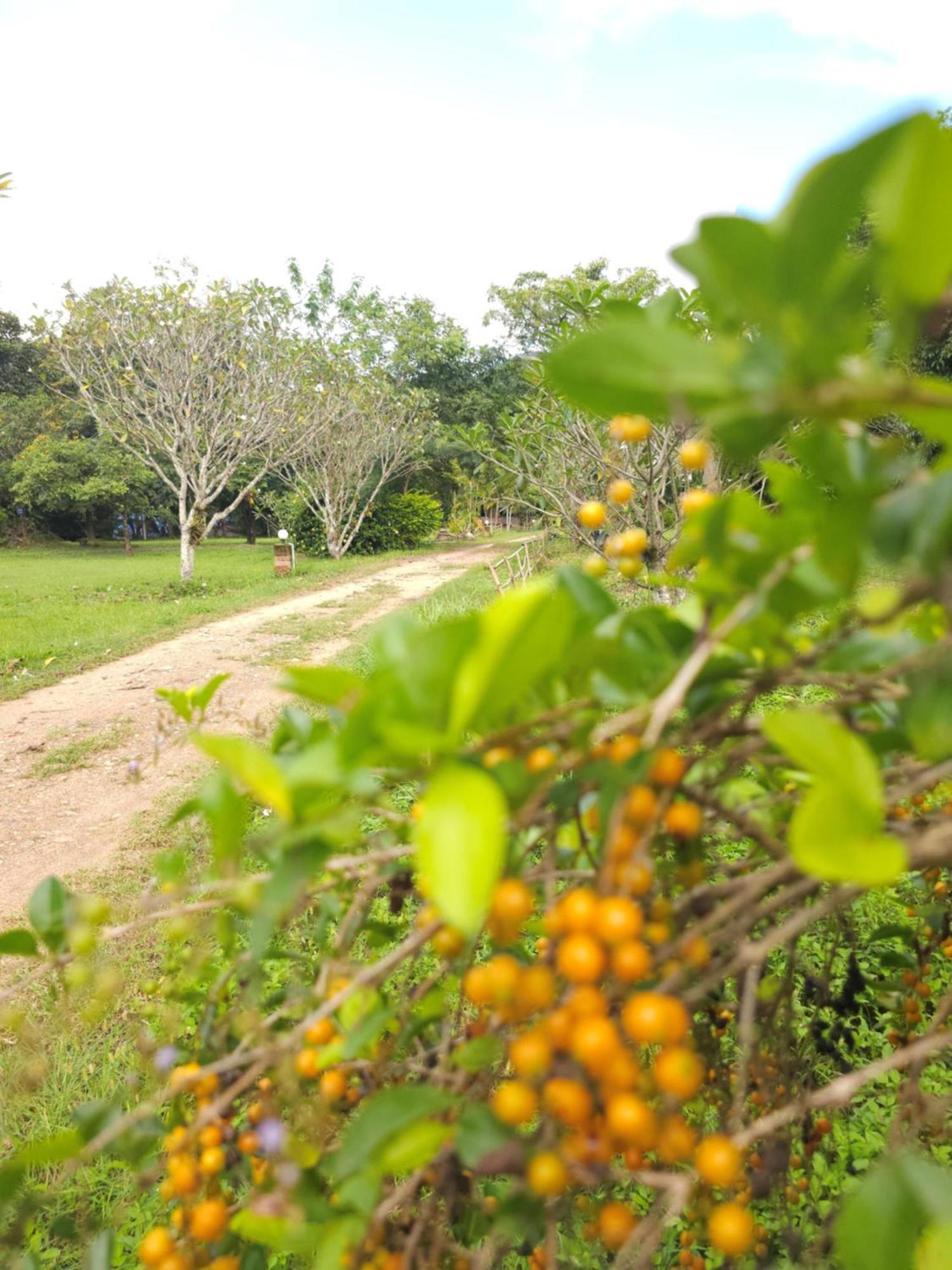 Pai Kiniman Resort Ngoại thất bức ảnh